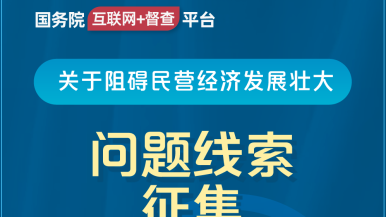 少萝泳装自慰国务院“互联网+督查”平台公开征集阻碍民营经济发展壮大问题线索